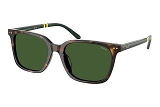 Polo PH4235U 500371 Bottle GreenShiny Dark Havana