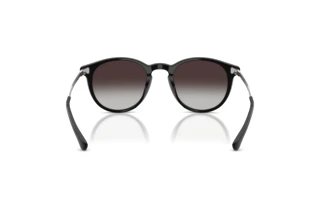 Rückansicht Polo PH4239U (50018G)