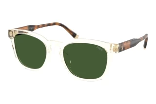 Vorderansicht Polo PH4242U (635771)