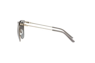 Seitenansicht Ralph Lauren RL7061 (93556V)