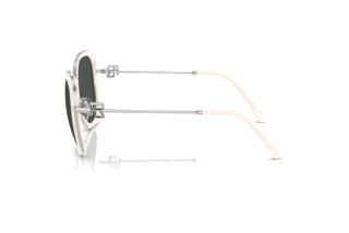 Seitenansicht Ralph Lauren RL7088 (900187)