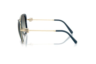 Seitenansicht Ralph Lauren RL7088 (911611)