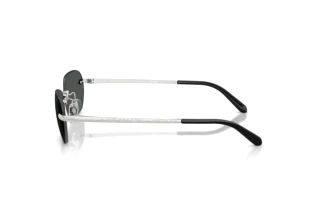 Seitenansicht Ralph Lauren RL7089 (900187)