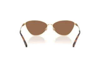 Rückansicht Ralph Lauren RL7093 (900473)