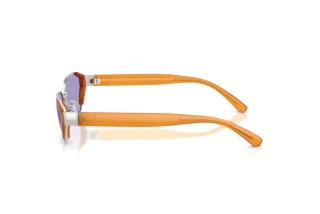 Seitenansicht Ralph Lauren RL7094 (90011A)