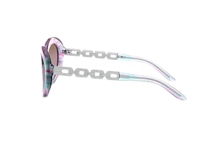 Seitenansicht Ralph Lauren RL8183 (583248)