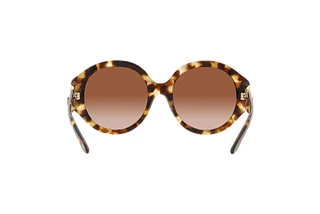 Rückansicht Ralph Lauren RL8188Q (605613)