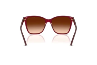 Rückansicht Ralph Lauren RL8201 (591274)