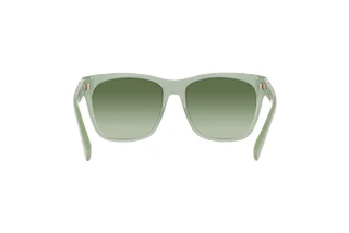 Rückansicht Ralph Lauren THE RICKY II (RL8212 - 60498E)