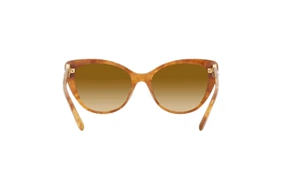 Rückansicht Ralph Lauren RL8215BU (60832L)