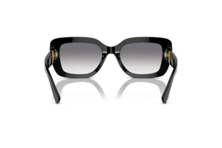 Rückansicht Ralph Lauren THE NIKKI (RL8217U - 500179)