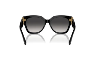 Rückansicht Ralph Lauren THE OVERSZED RICKY (RL8221 - 50018G)