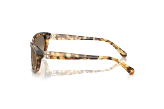 Seitenansicht Ralph Lauren RL8226U (60566Y)