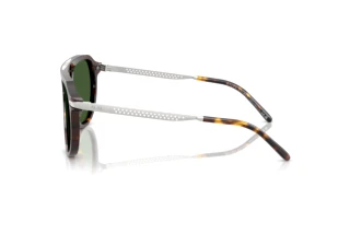 Seitenansicht Ralph Lauren RL8228U (500371)