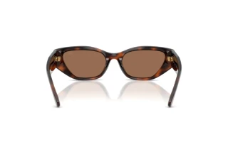 Rückansicht Ralph Lauren RL8231U (624173)