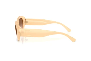 Seitenansicht Ralph Lauren RL8232U (624513)