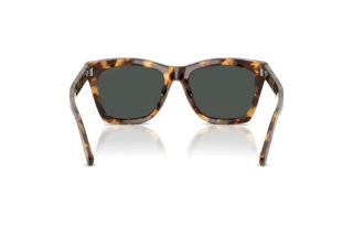 Rückansicht Ralph Lauren RL8235U (617887)