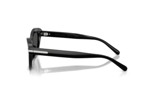 Seitenansicht Ralph Lauren RL8236U (500187)