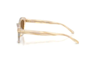 Seitenansicht Ralph Lauren RL8236U (617673)