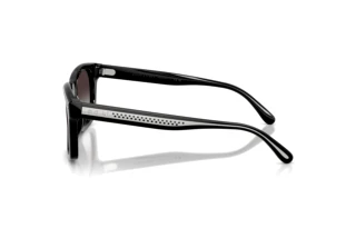 Seitenansicht Ralph Lauren RL8237U (50018G)