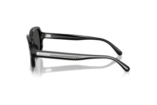 Seitenansicht Ralph Lauren RL8238U (500187)