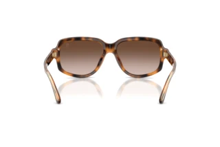 Rückansicht Ralph Lauren RL8238U (608913)