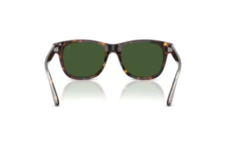 Rückansicht Ralph Lauren RL8239U (500371)