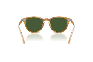 Rückansicht Ralph Lauren RL8241U (618571)