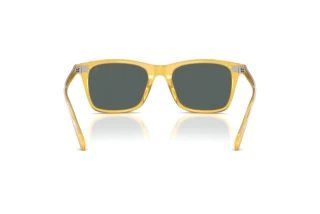 Rückansicht Ralph Lauren RL8242U (50053R)