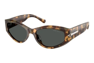 Vorderansicht Ralph Lauren RL8243U (617887)