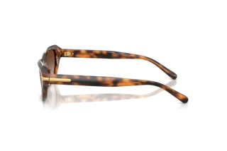 Seitenansicht Ralph Lauren RL8244U (608913)