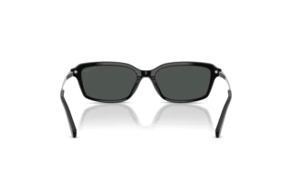 Rückansicht Ralph Lauren RL8245U (500187)