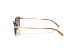 Seitenansicht Ralph Lauren RL8245U (637708)