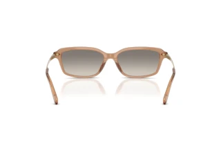Rückansicht Ralph Lauren RL8245U (637708)