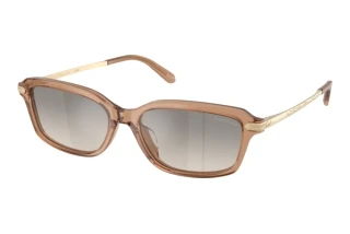 Vorderansicht Ralph Lauren RL8245U (637708)