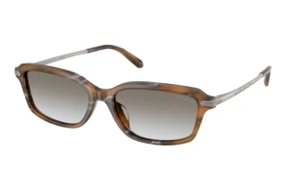 Vorderansicht Ralph Lauren RL8245U (637911)