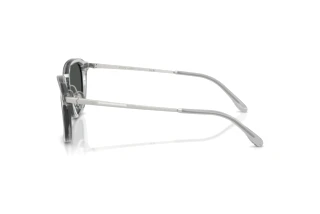 Seitenansicht Ralph Lauren RL8246 (631787)
