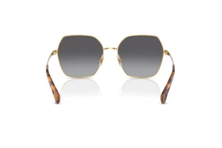 Rückansicht Ralph RA4138 (9004T3)