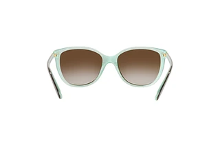 Rückansicht Ralph RA5160 (RA5160 - 601/13)