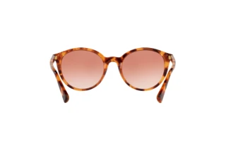 Rückansicht Ralph RA5273 (588513)