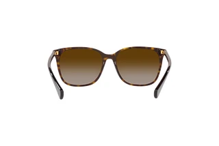 Rückansicht Ralph VVCV (RA5293 - 50033B)