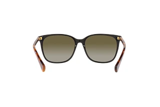 Rückansicht Ralph VVCV (RA5293 - 60378E)