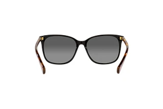 Rückansicht Ralph VVCV (RA5293 - 6037T3)