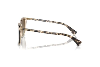 Seitenansicht Ralph VVCV (RA5293 - 6072T5)