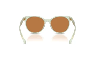 Rückansicht Ralph RA5331U (604973)