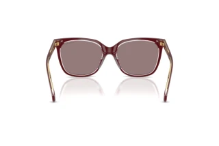 Rückansicht Ralph RA5343U (62997N)