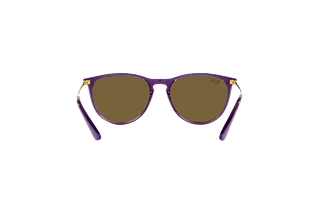 Rückansicht Ray-Ban Kids JUNIOR ERIKA (RJ9060S - 713173)
