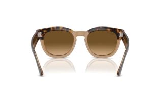 Rückansicht Ray-Ban MEGA HAWKEYE (RB0298S - 1292M2)