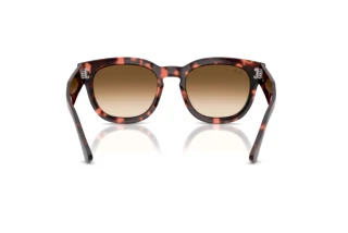 Rückansicht Ray-Ban MEGA HAWKEYE (RB0298S - 133451)