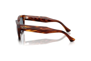 Seitenansicht Ray-Ban MEGA HAWKEYE (RB0298S - 954/62)